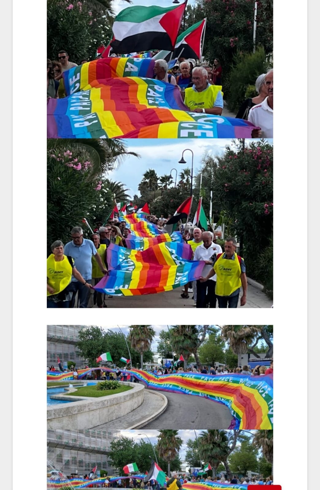 catena umana palestina 7